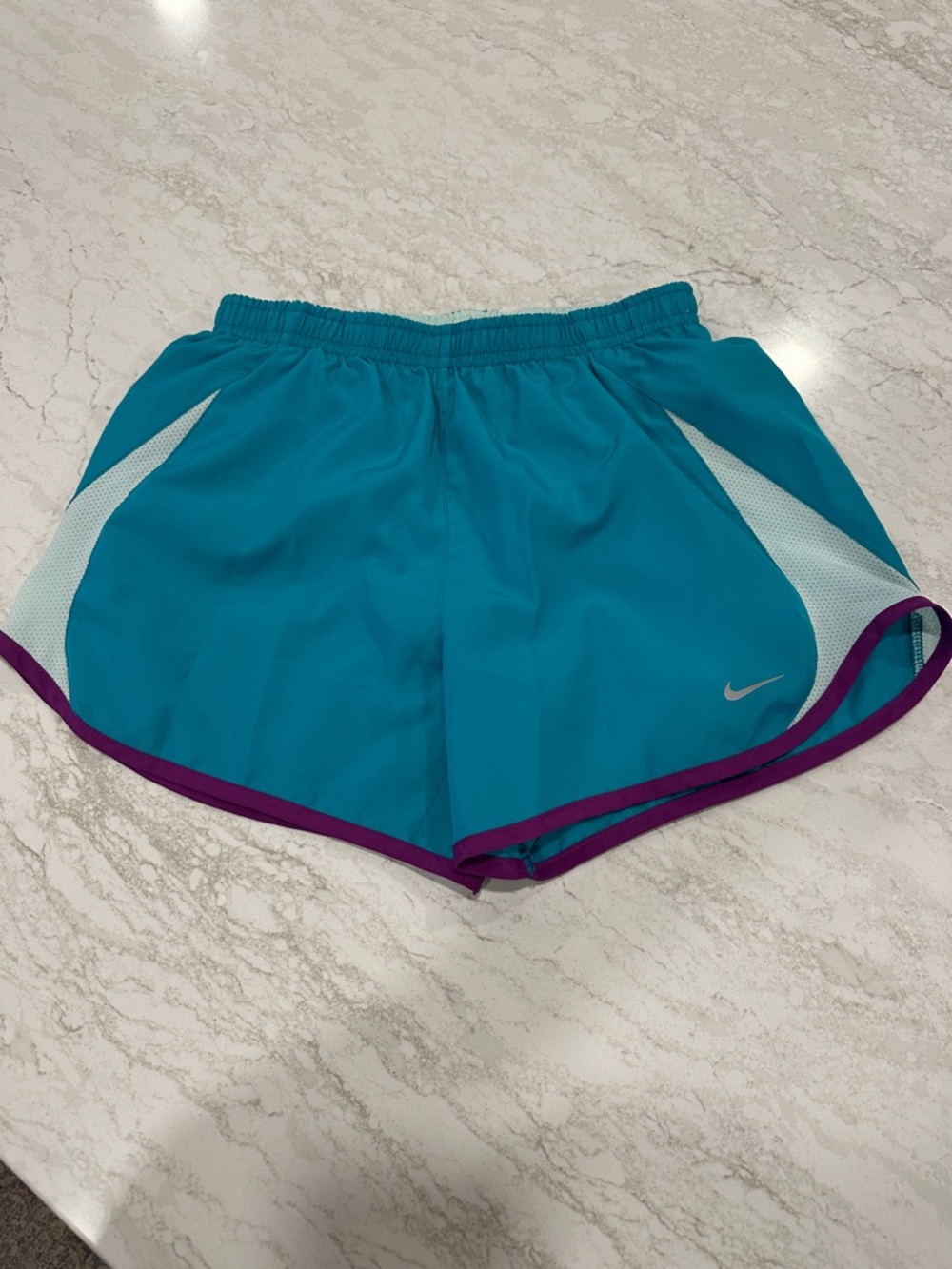 Nike Teal Athletic Shorts with Purple Trim